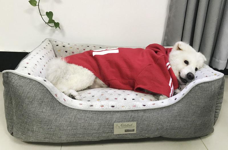 Outdoor Foldable Orthopedic Elevated China Dog Bed