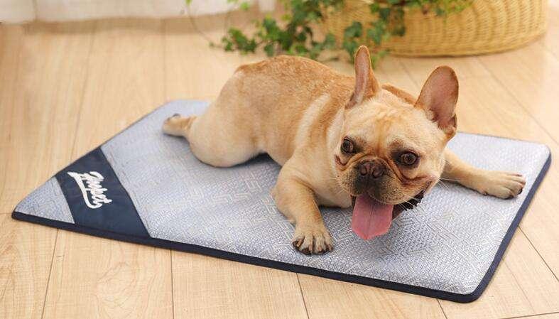 Anti Damp Floor Pet Dog Summer Cooling Bed Mat