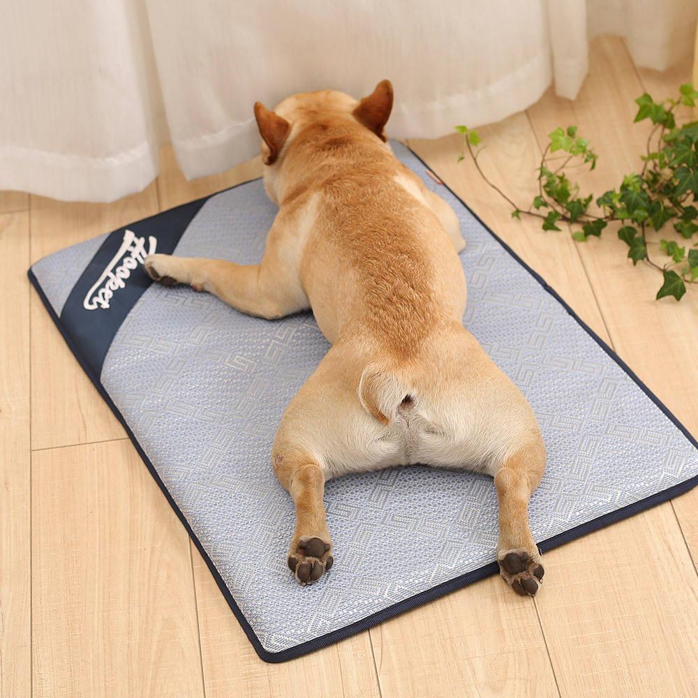 Anti Damp Floor Pet Dog Summer Cooling Bed Mat
