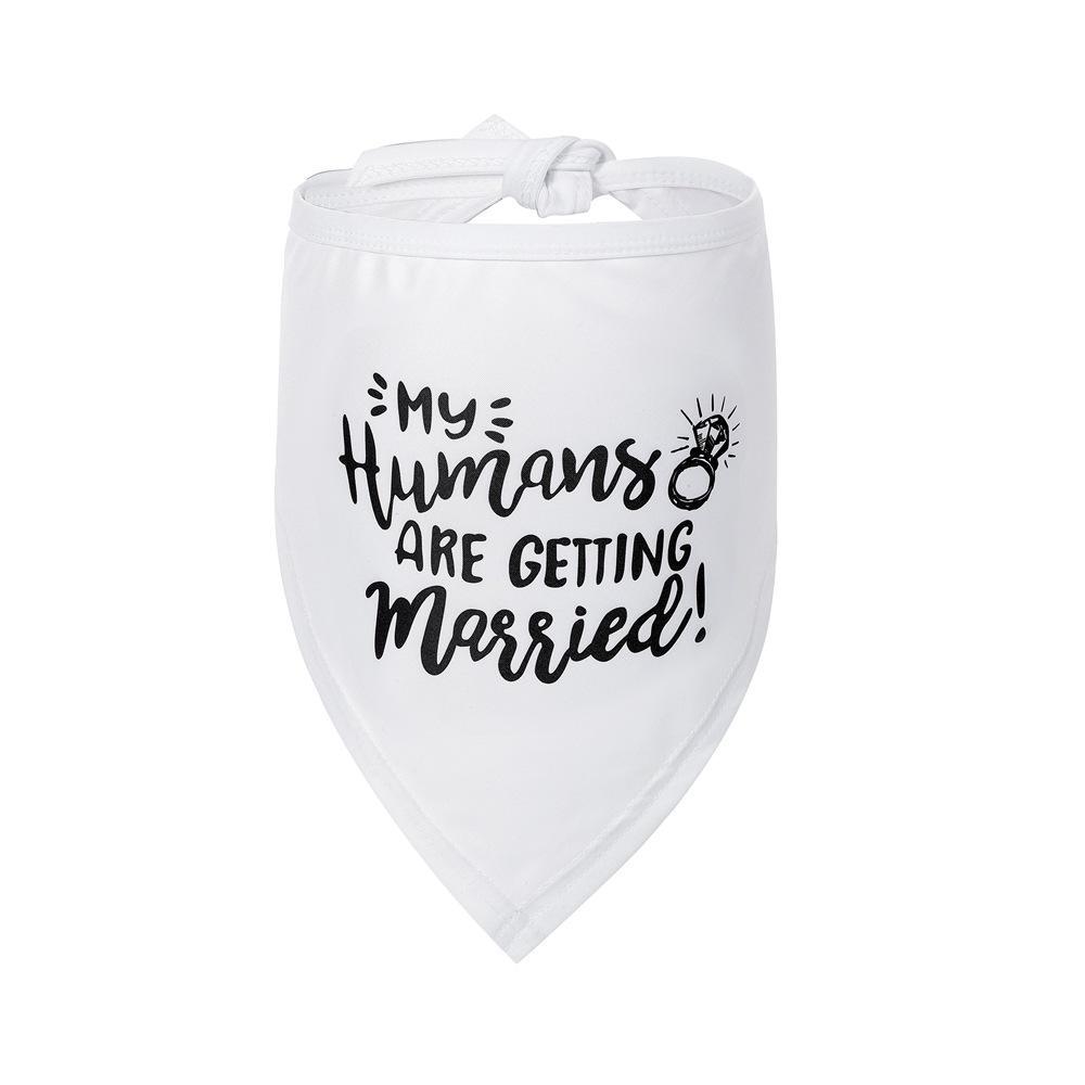 Hot-sale Pet Dog White Wedding Collar With Bandana