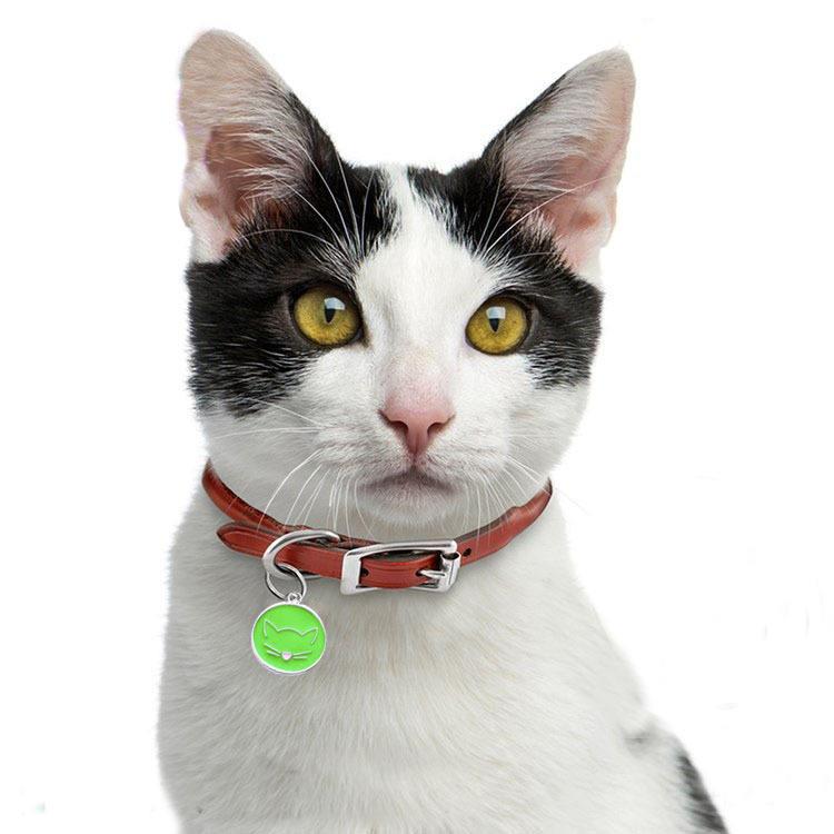 Dog Chain Necklace Cat Accessories Pet Pendants Dog Charms For Collars