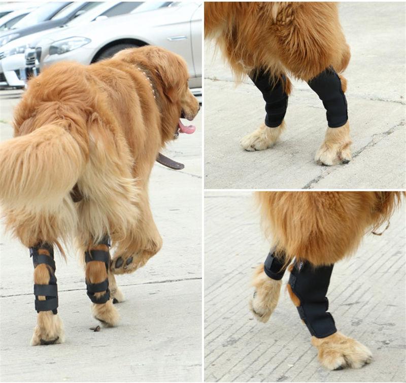 High Quality New Style Hock Joint Wrap Neoprene Leg Protector Dog Leg Brace