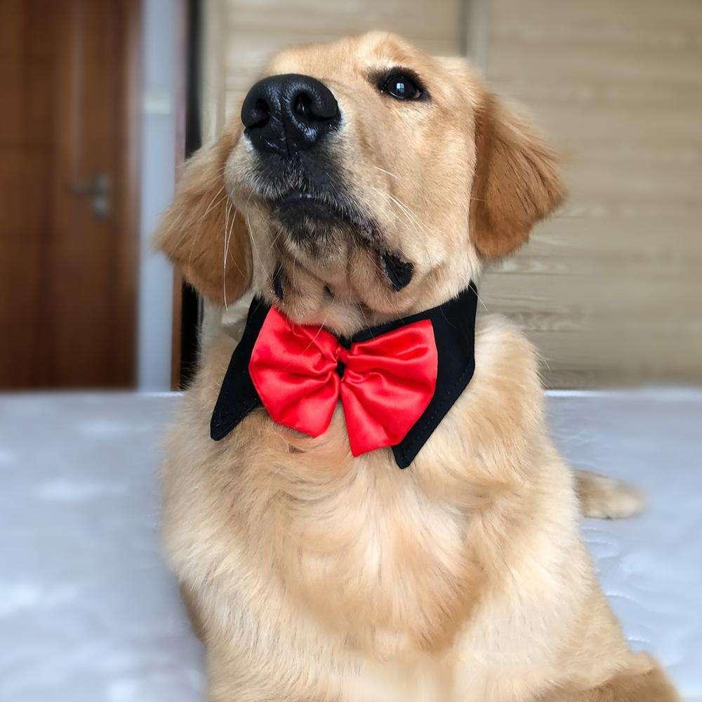 Adjustable Gentlemanlike Wedding Party Big Dog Bowtie