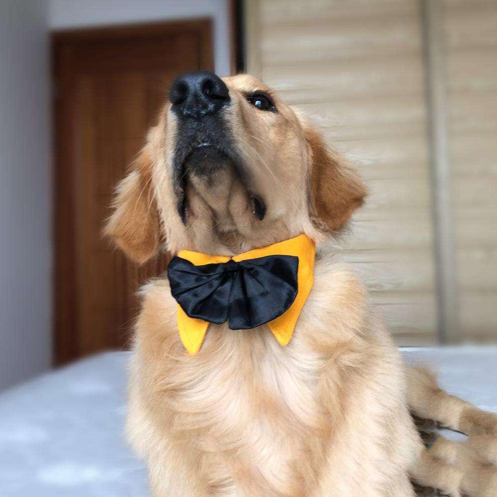 Adjustable Gentlemanlike Wedding Party Big Dog Bowtie