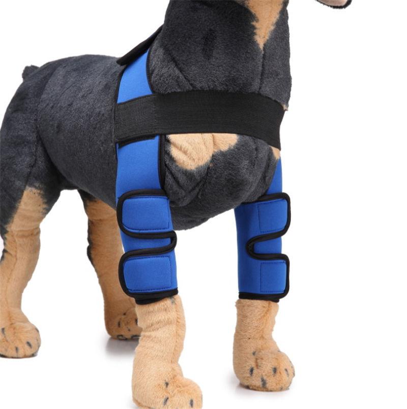 Hot Selling Comfortable Adjustable Protects Wounds Pet Dog Knee Brace