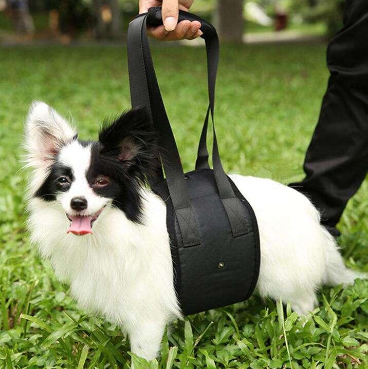 High Quality Mulicolour Soft Dog Lift Harness