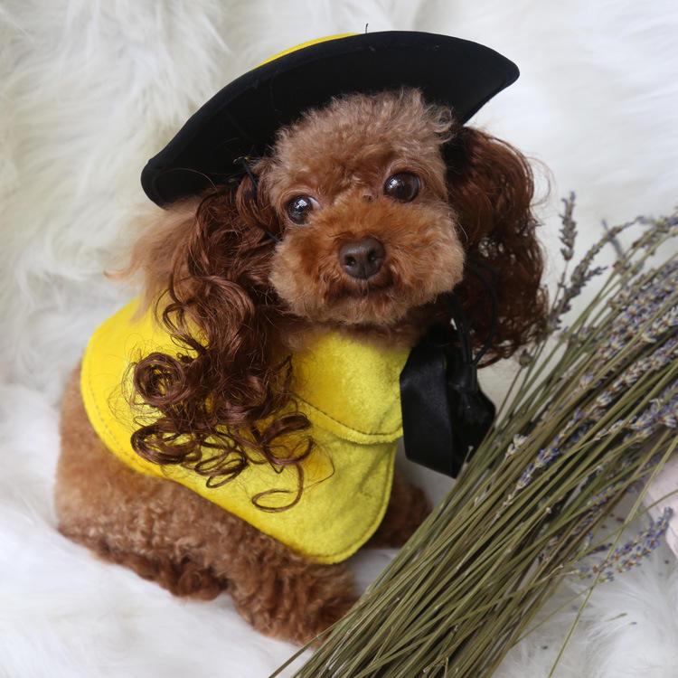 Christmas Pet Clothes Cloak Wholesale Halloween Costumes For Small Dogs