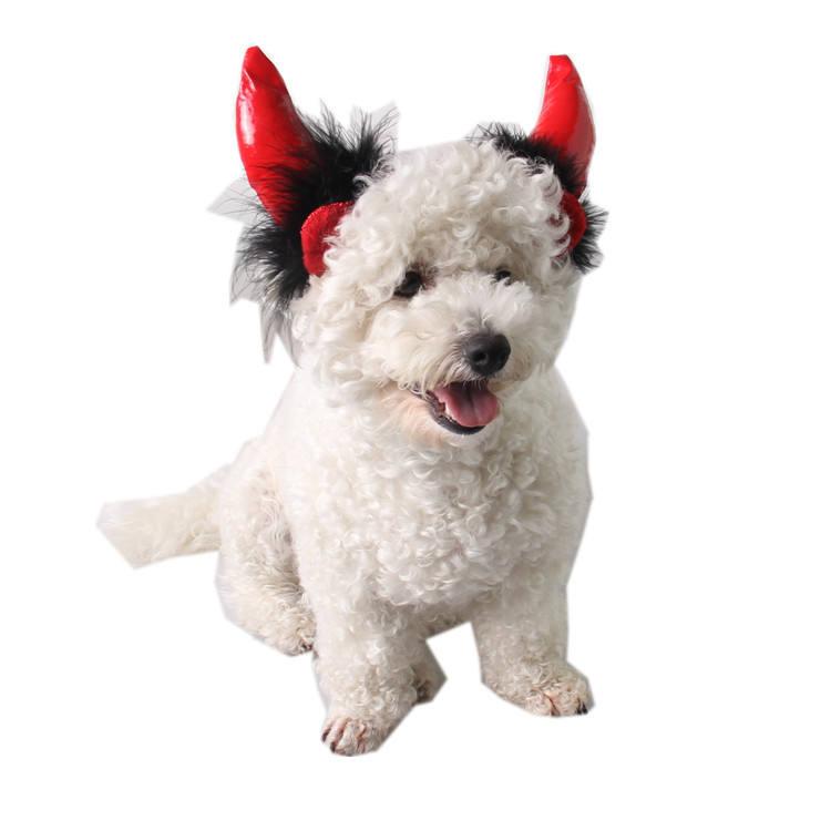 Halloween Night Person Ornaments Vampire Imp Lord Red Horn Pet Cat Party Dog Hat
