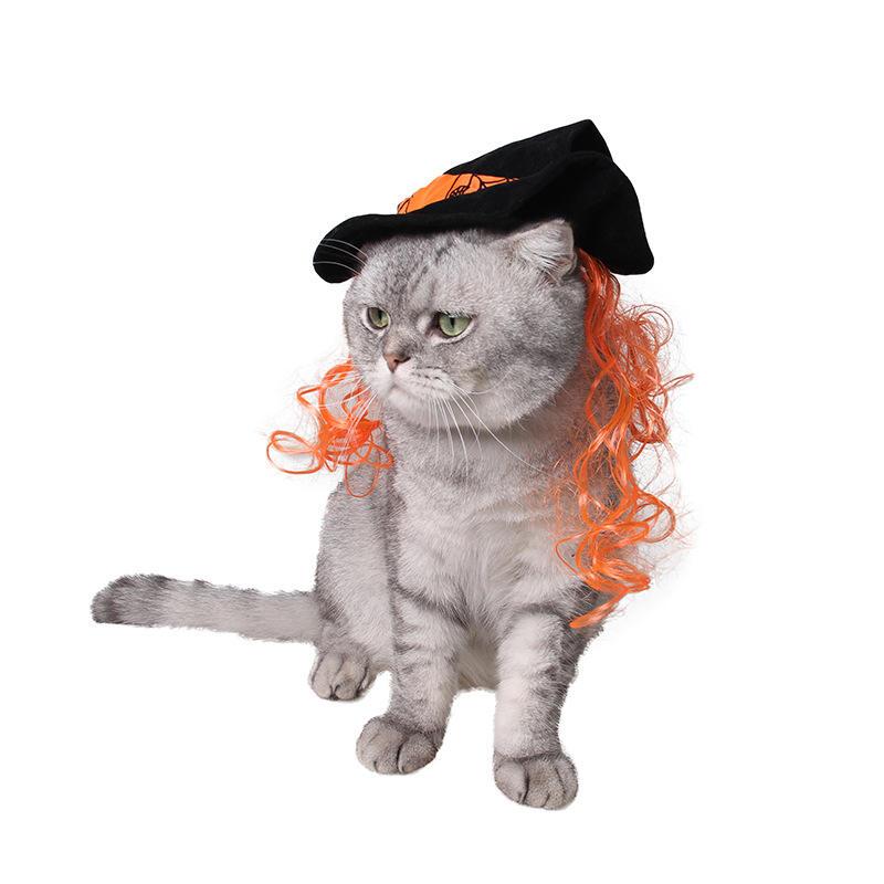 Wholesale Scarecrow Witch Hat Dog Cat Halloween Costume