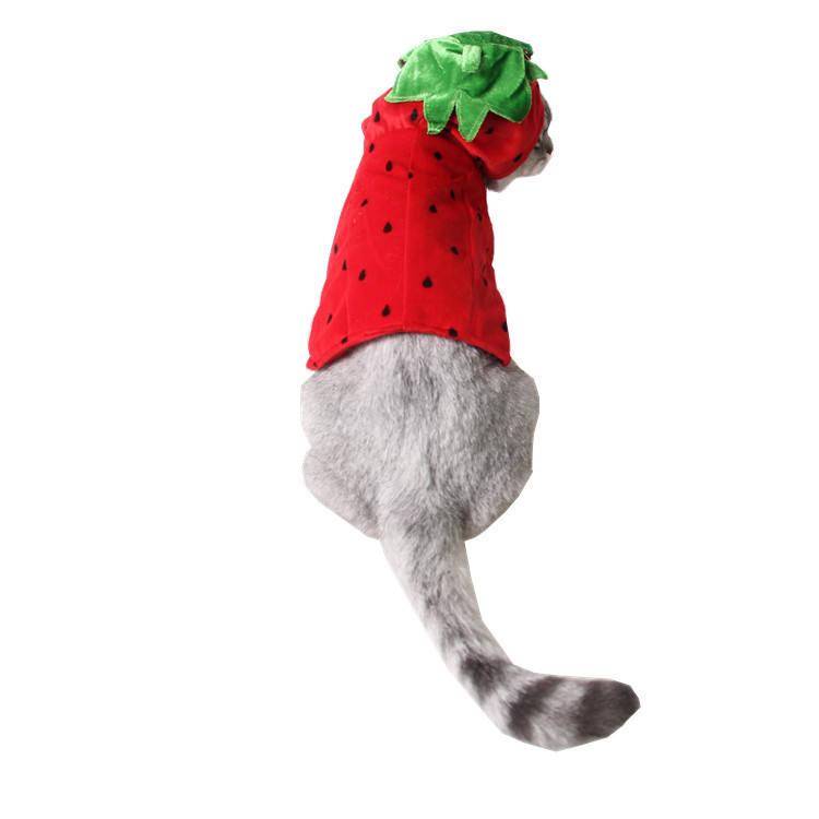 Wholesale High Quality Christmas Lovely Pet Dog Clothes Set With Accessories