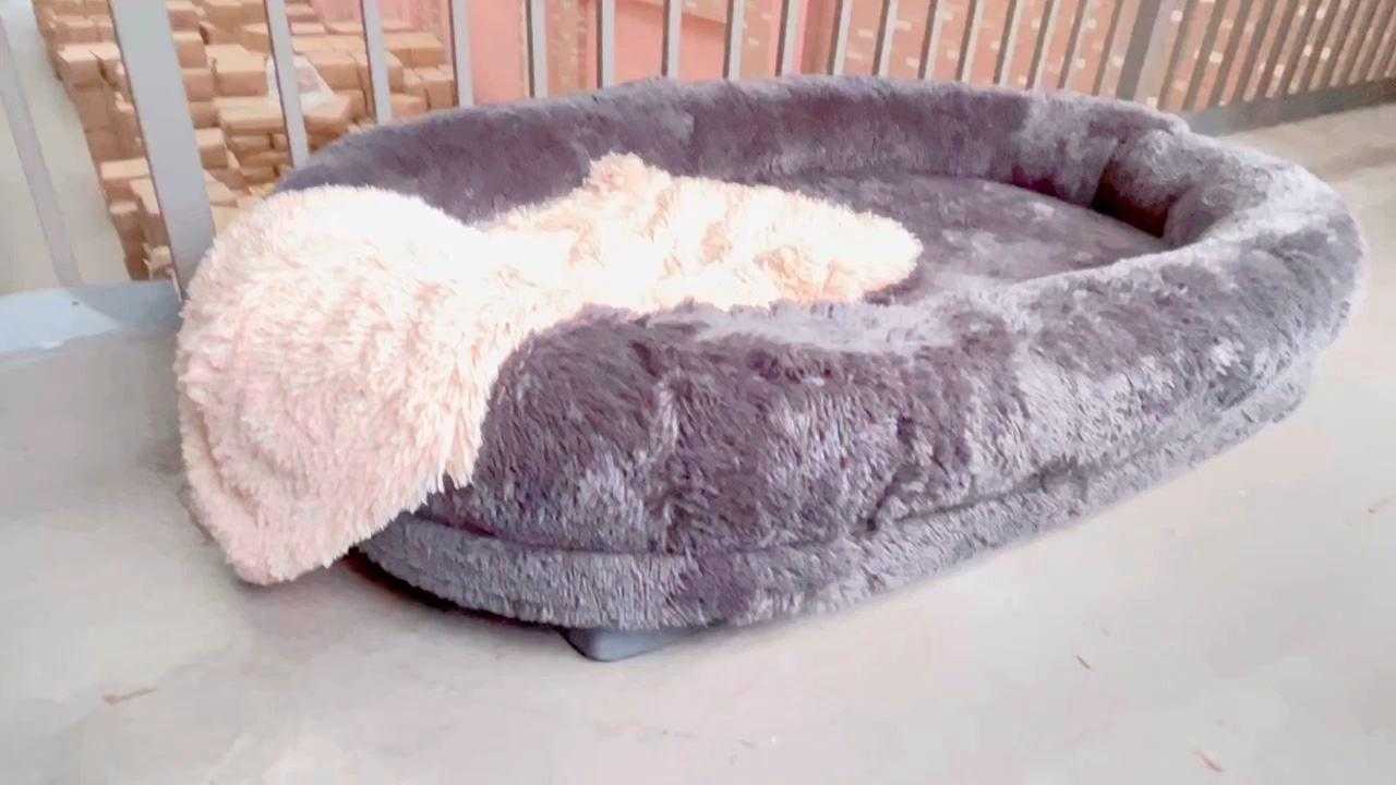 High Quality Luxury Memory Foam Human Sized Dog Bed Large Dog Bed Dog Bed For Humans