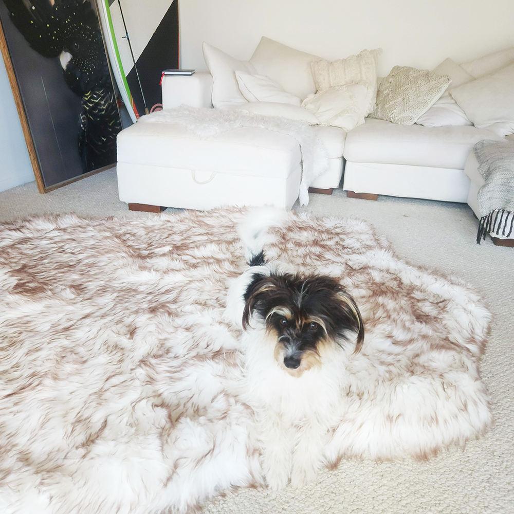 pet Wholesale Dog Bed Pet Cushion Fluffy Luxury Dog Bed