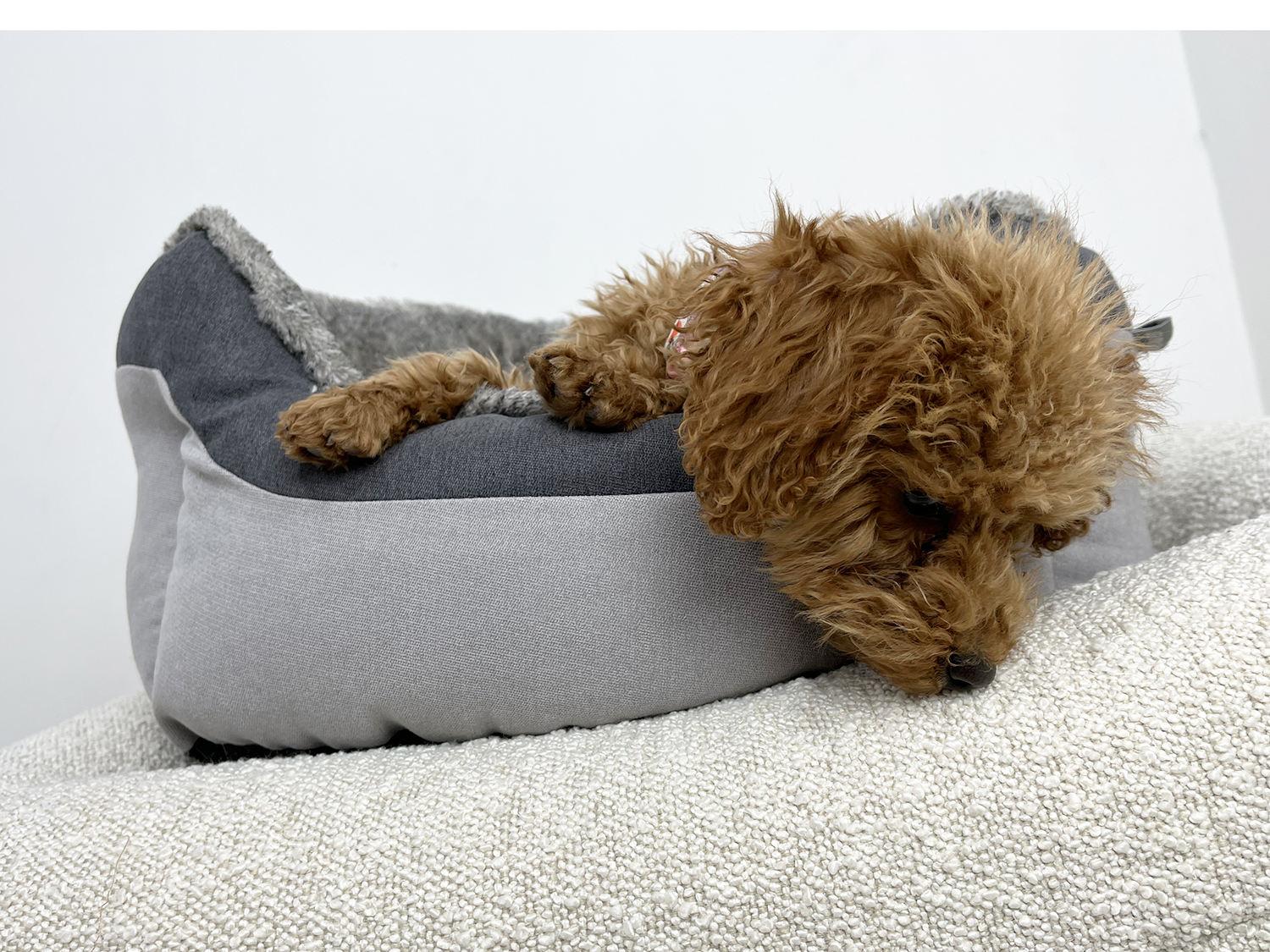 pet Pet Luxury Custom Shape Sleeping Cat Dog Beds For Pets