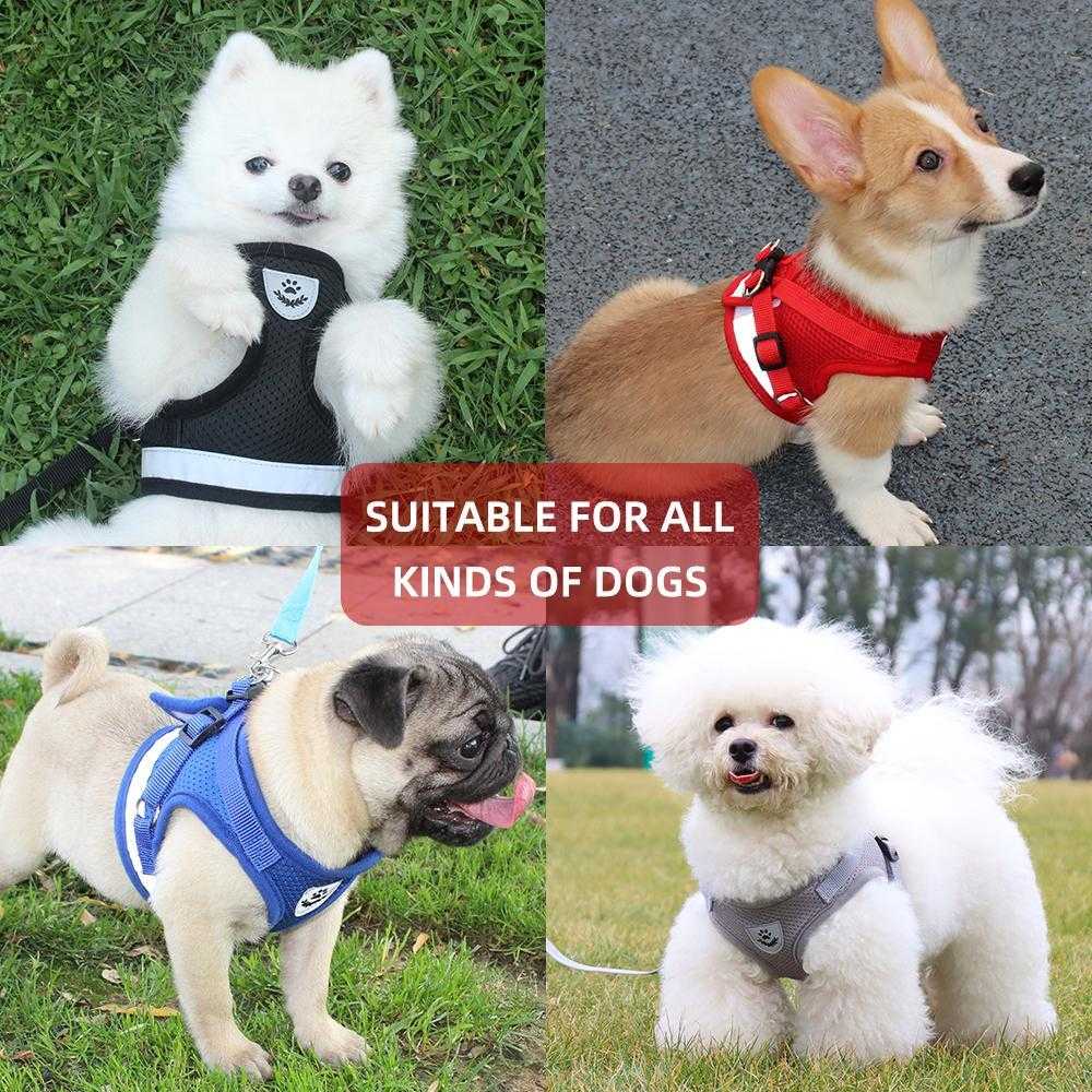 Pet harness Reflective and Breathable  polyester mesh Multicolor options