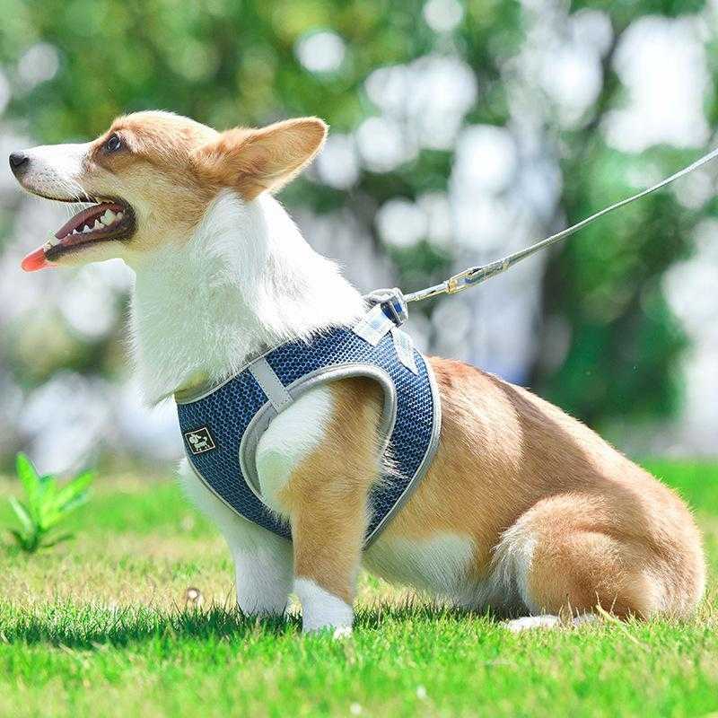 Reflective pet harness  New honeycomb polyester breathable mesh  Dog rope pet supplies