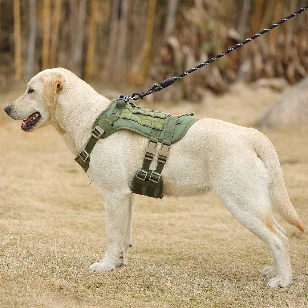 Oxford cloth vest,large dog harness, tactical chest strap, pet harness