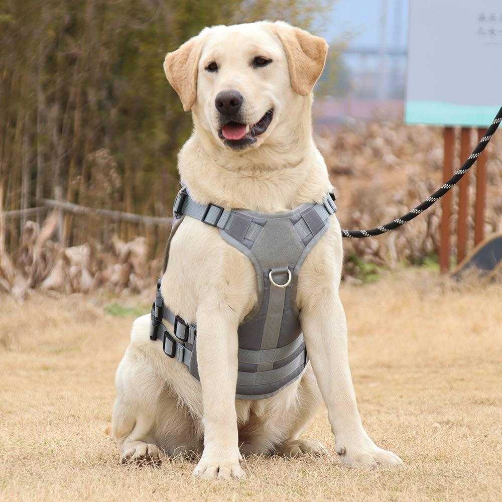 Oxford cloth vest,large dog harness, tactical chest strap, pet harness