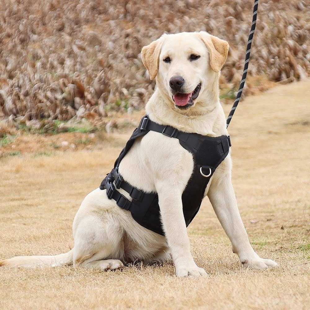 Oxford cloth vest,large dog harness, tactical chest strap, pet harness