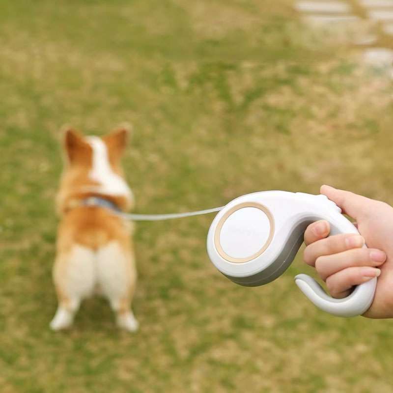 3m - 5m Automatic Telescopic Retractable Pet Dog Traction Rope