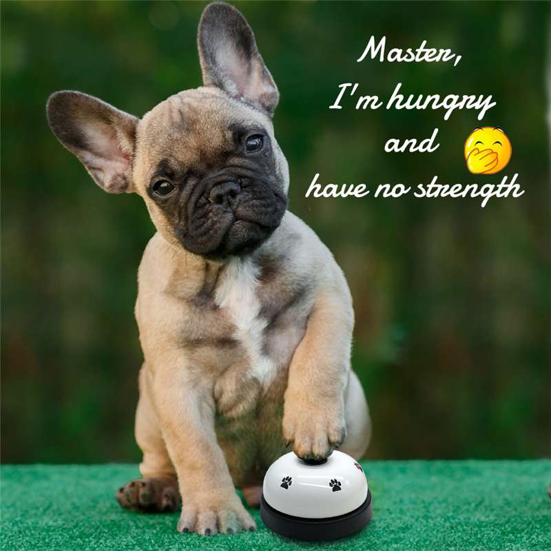 Cat and dog training pet bell