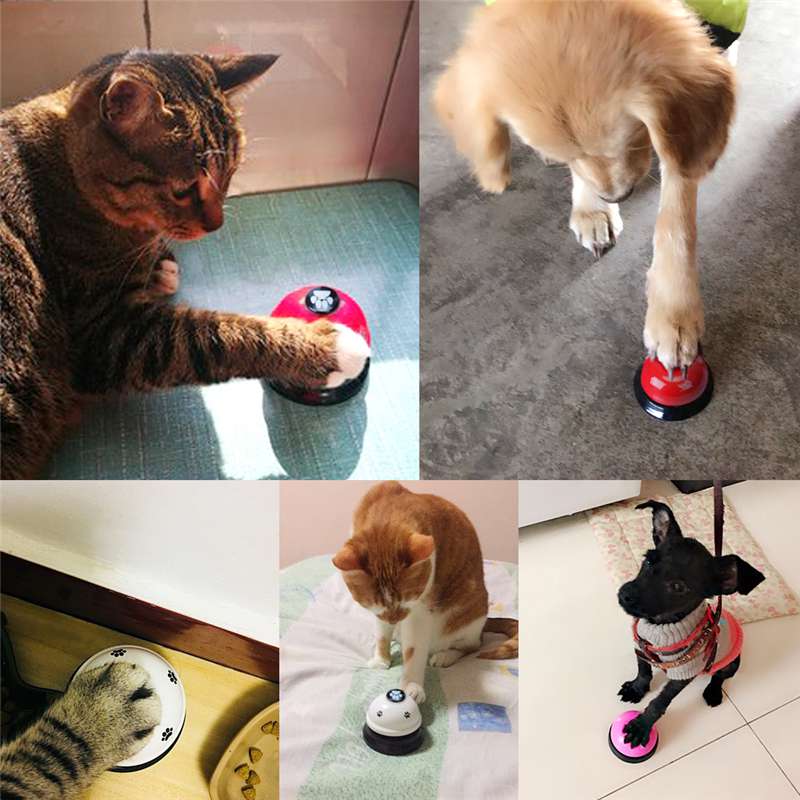 Cat and dog training pet bell