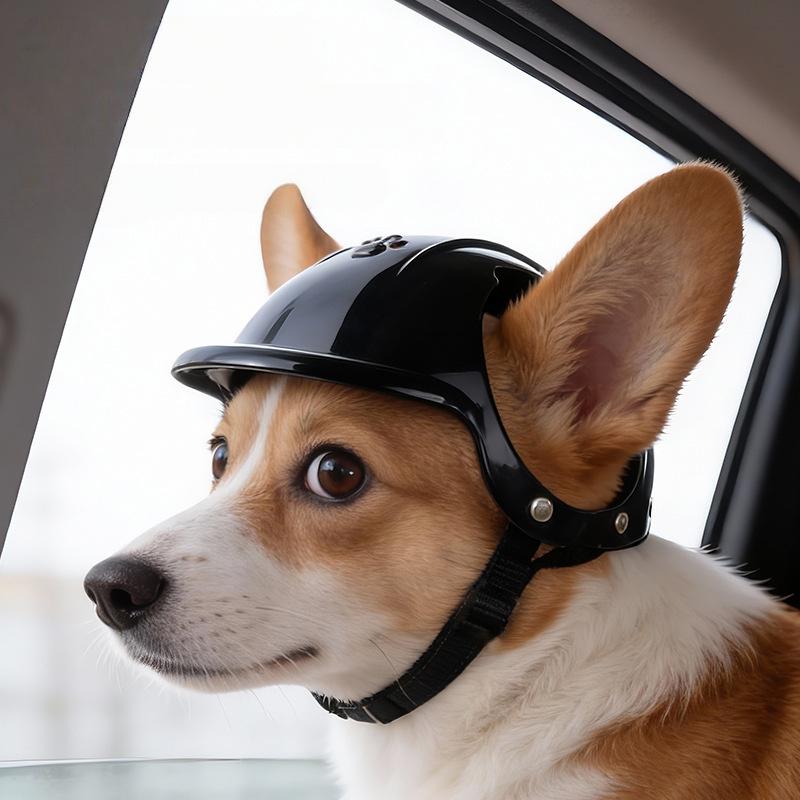 Pet Helmet Outdoor Sports for Dogs and Cats