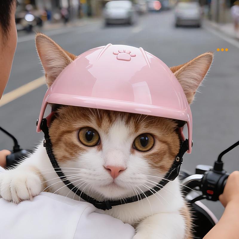 Pet Helmet Outdoor Sports for Dogs and Cats