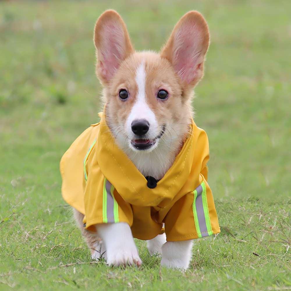 Cloak raincoat,Pet raincoat waterproof and reflective, with hat for Puppy or Medium dog or large dog