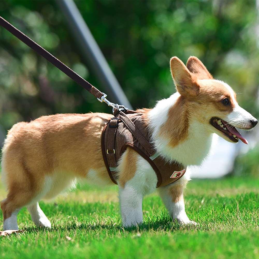 Corduroy breathable dog harness