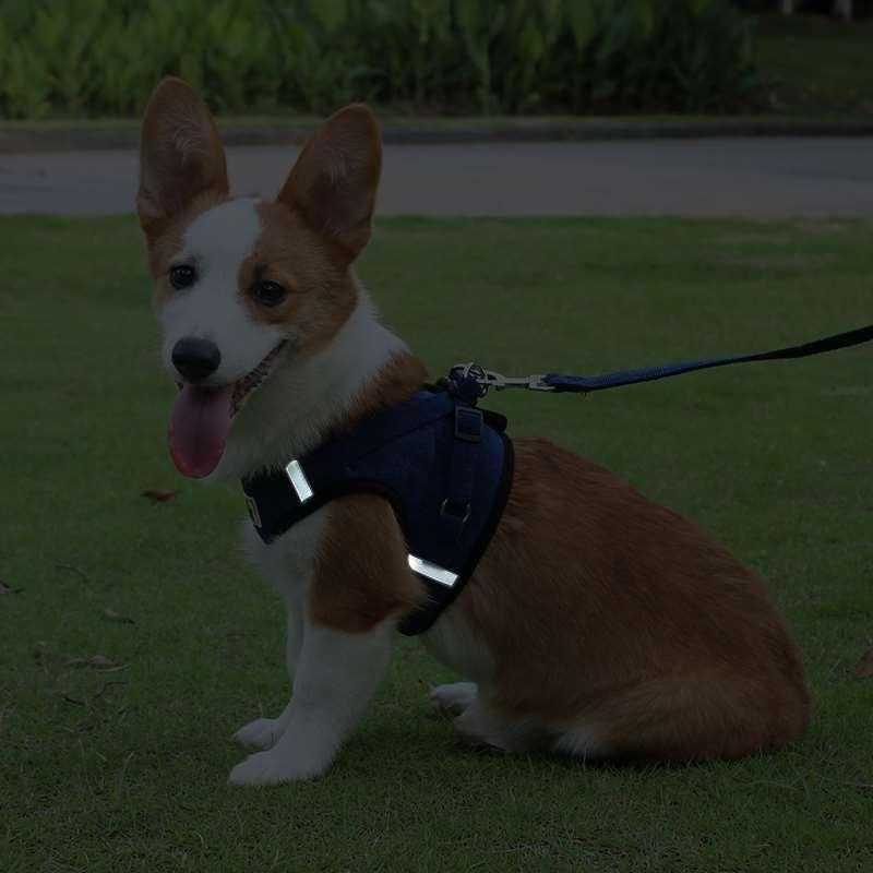 Corduroy breathable dog harness