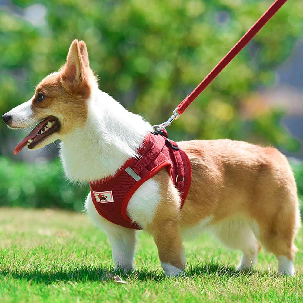 Corduroy breathable dog harness