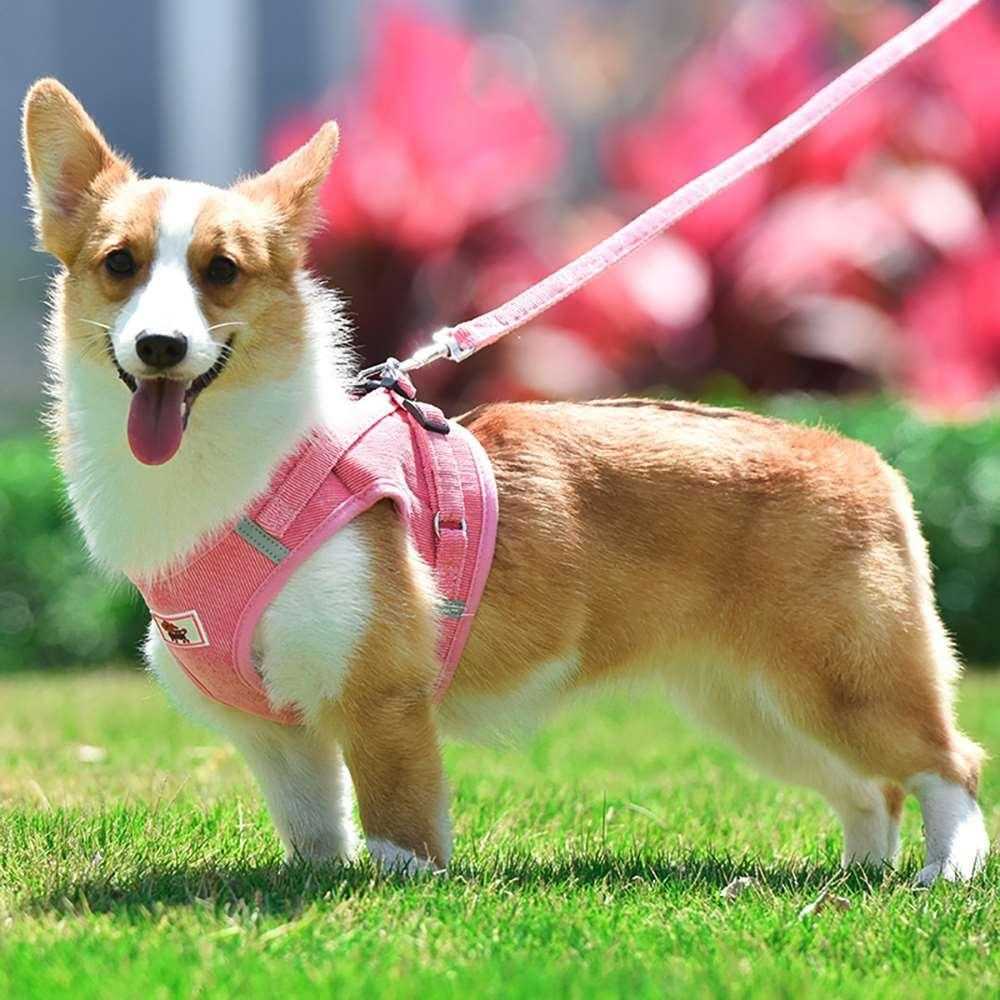 Corduroy breathable dog harness