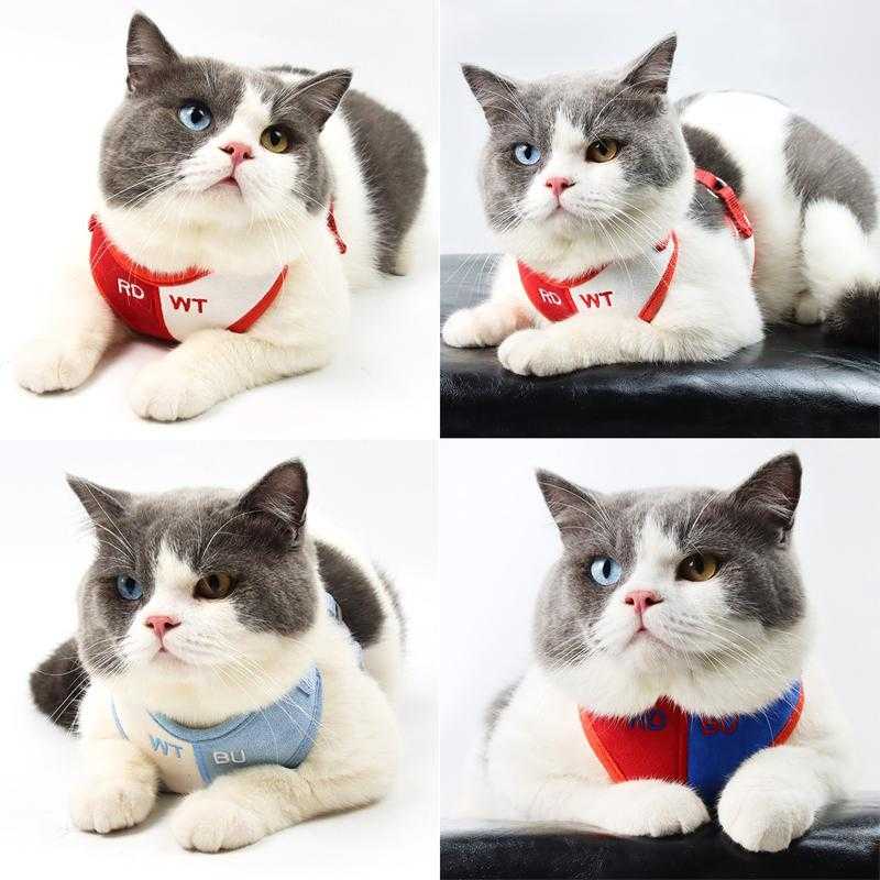 Pet traction rope suede dog chest strap color matching breathable cat strap reflective