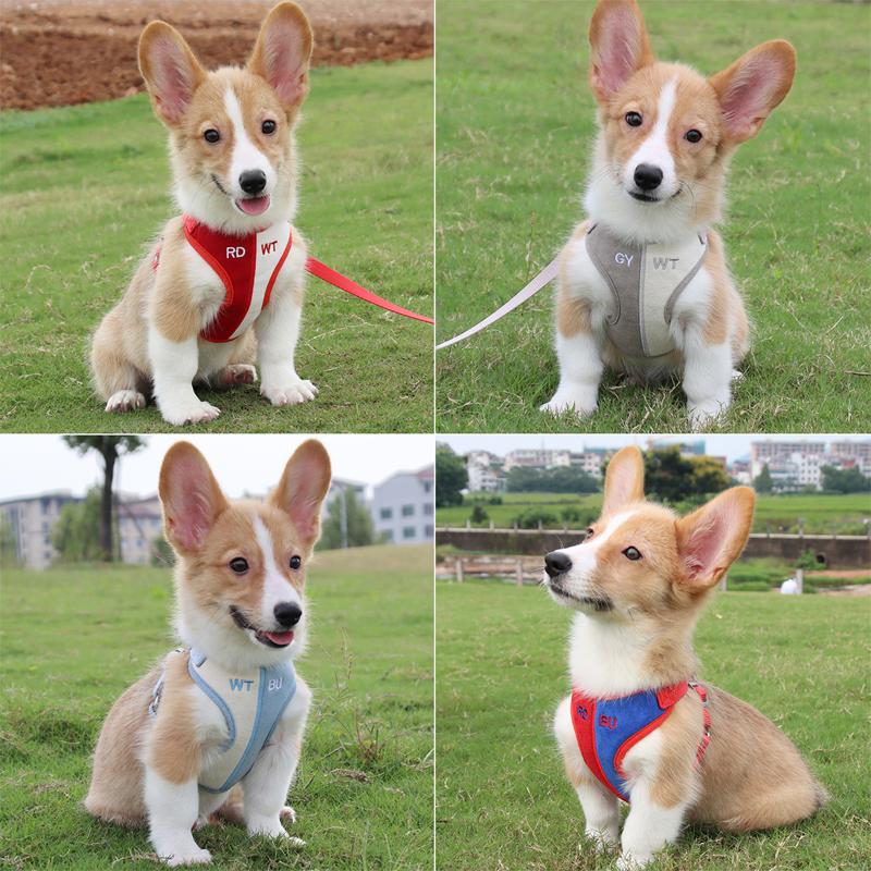 Pet traction rope suede dog chest strap color matching breathable cat strap reflective