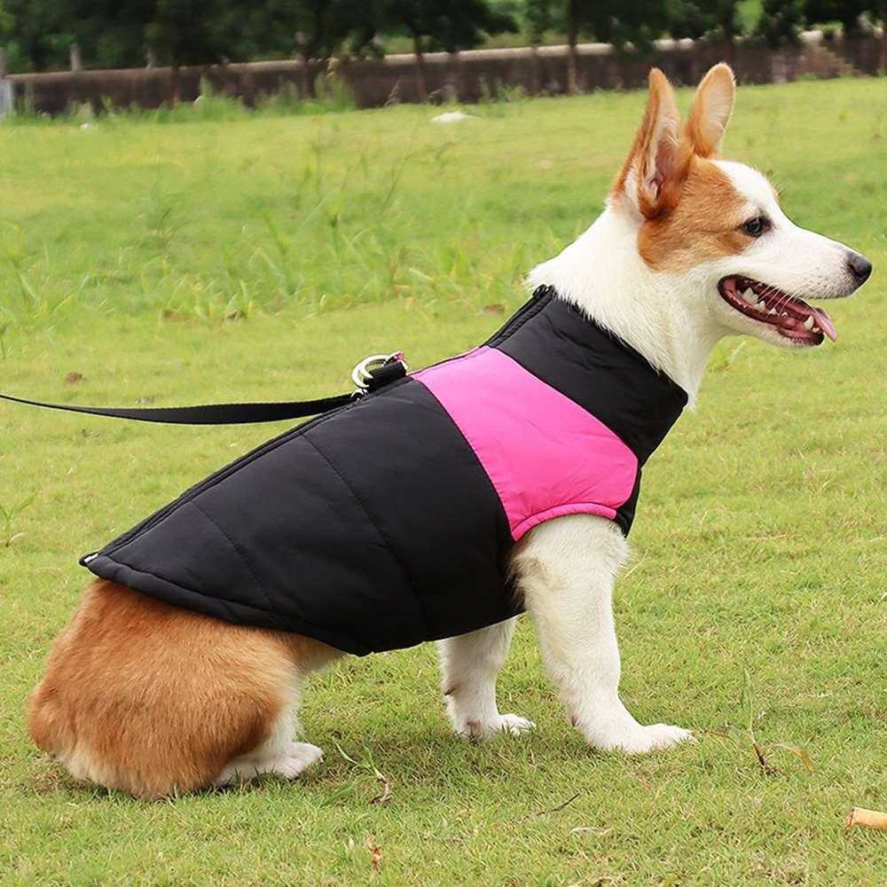 Autumn and winter dog clothes thickened vest pet cotton clothes