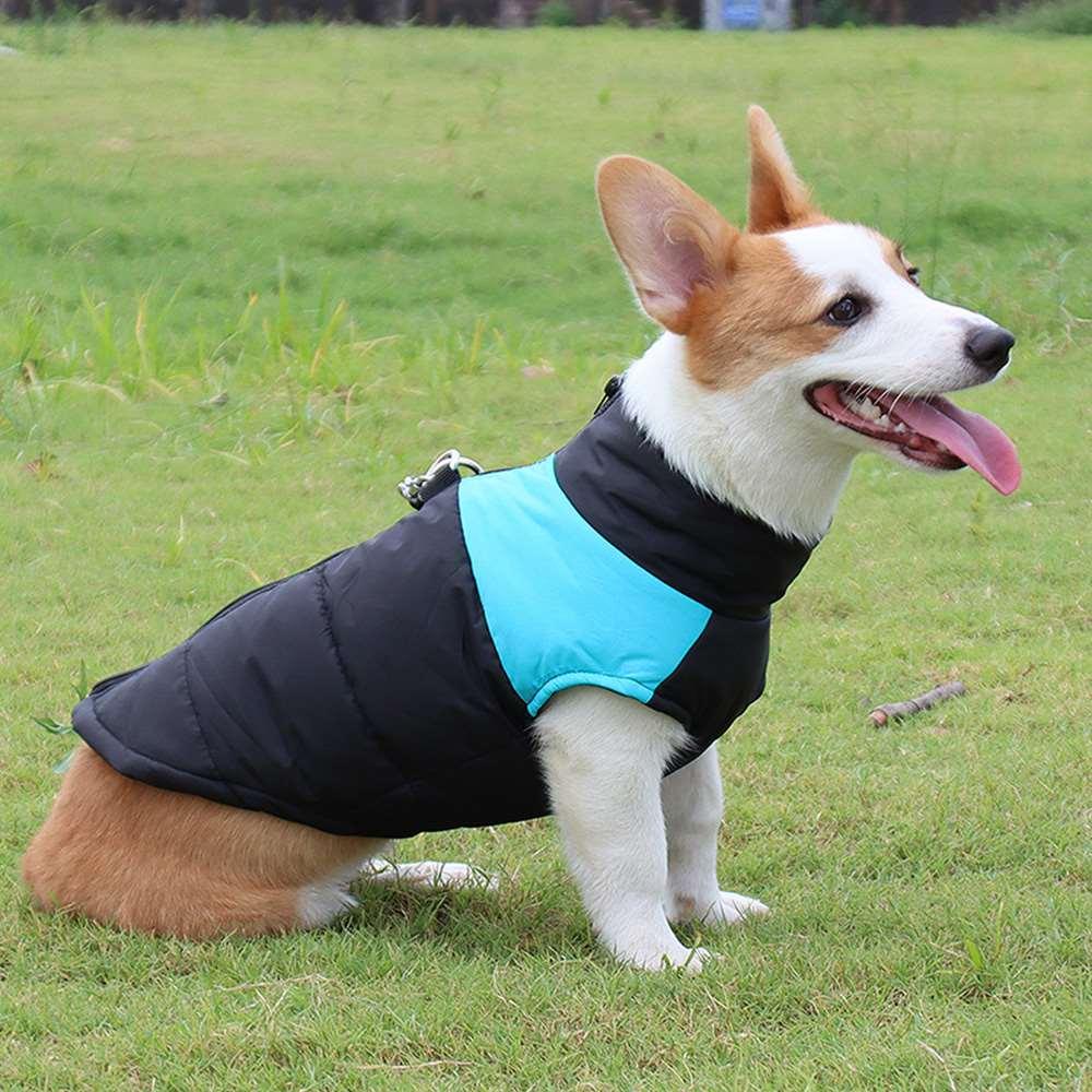 Autumn and winter dog clothes thickened vest pet cotton clothes