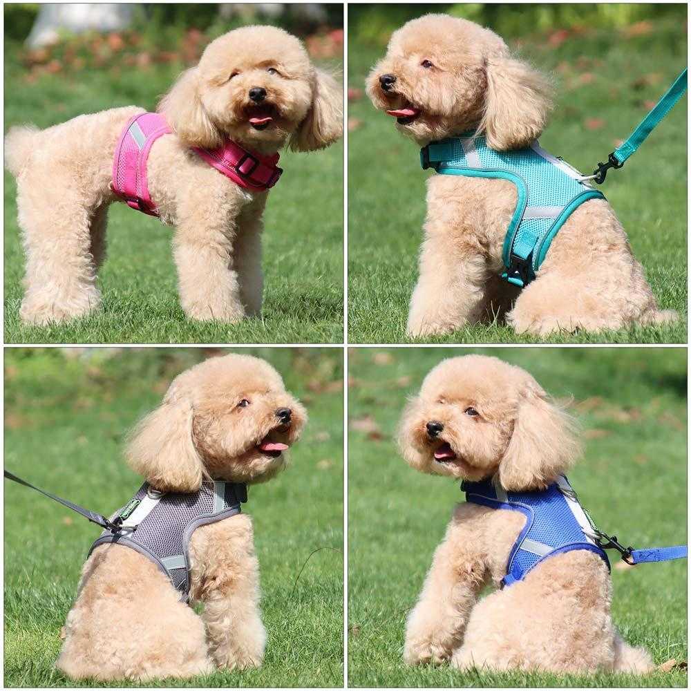 X-type breathable mesh dog,cat harness reflective dog rope pet traction rope