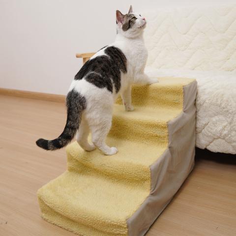 Replaceable Cover Mat Durable Abs Foldable Pet Stairs For Small And Large Dog