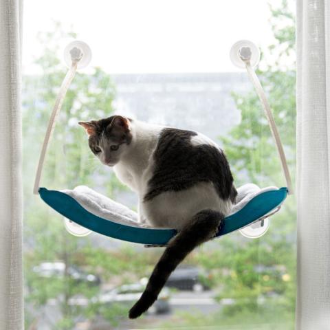 Wholesale Custom Warm Cat Hammock Bed Adjustable Removable Stable Cat Bed