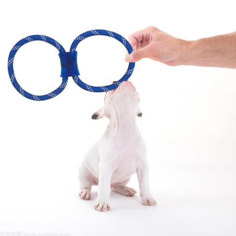 Durable Cotton Tpr Pet Toys Nylon Rope Dog Toys