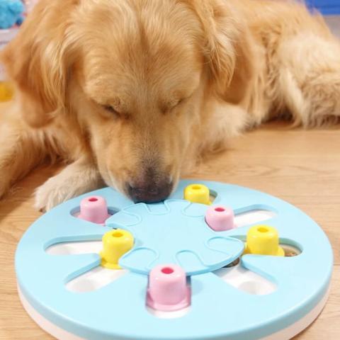 Manufacturer Wholesale New Design Eco-friendly Plastic Dog Puzzle Toys Interactive Pet Toys