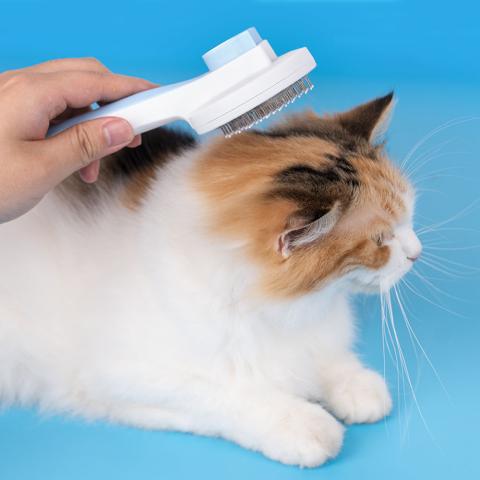 New Design One Key Pet Hair Remover Dog Grooming Brush
