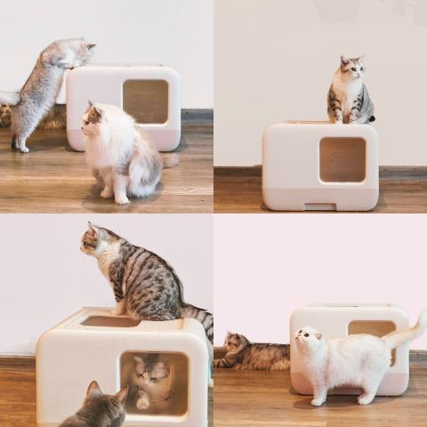 Wholesale Custom Cat Toliet Products Plastic Large Space Cat Litter Box Cat Toilet Sand Box