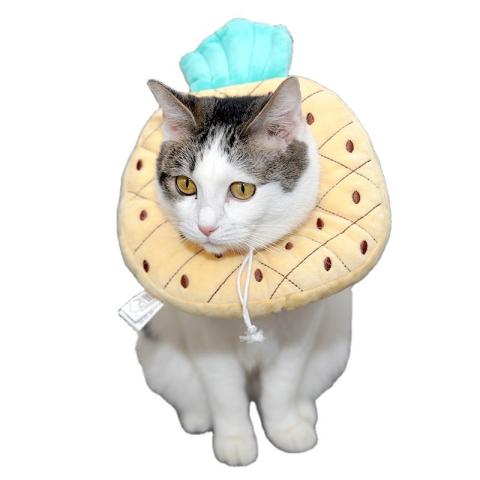 Fashion Pet Dog Elizabeth Collar Cute Recovery Healing Protective Cat E-collar
