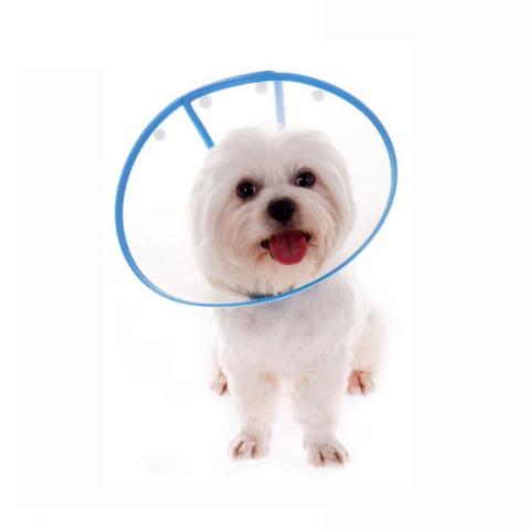 Wholesale Fashion Dog Elizabeth Collar Cute Recovery Healing Protective Cat E-collar