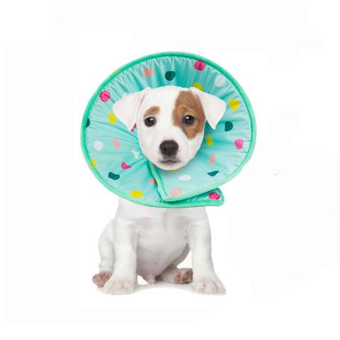 Wholesale Customized Comfortable Cotton Pet Dog Elizabeth Collar Cute Recovery Protective Cat E-collar