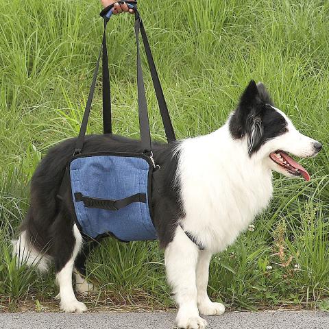Durable Comfortable Dog Support Harness For Back Legs