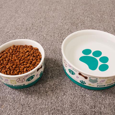 Wholesale Custom Silicone Ring Non-slip Design Fashion Printed Ceramic Dog Bowl