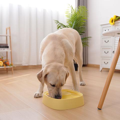 Manufacturer Custom Pet Bowl Separate Feeding Dogs Cats Bowl