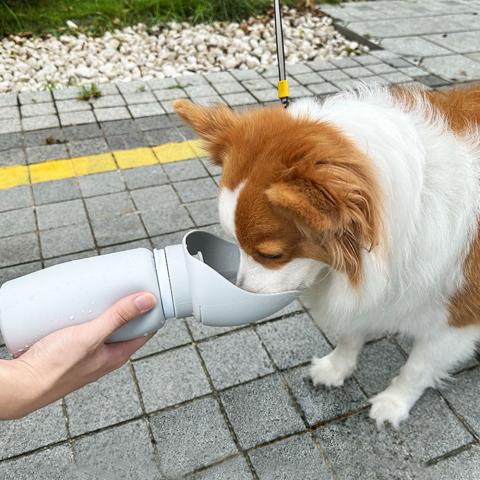 Manufacturer Wholesale Silicone Foldable Dog Travel Water Bottle Portable